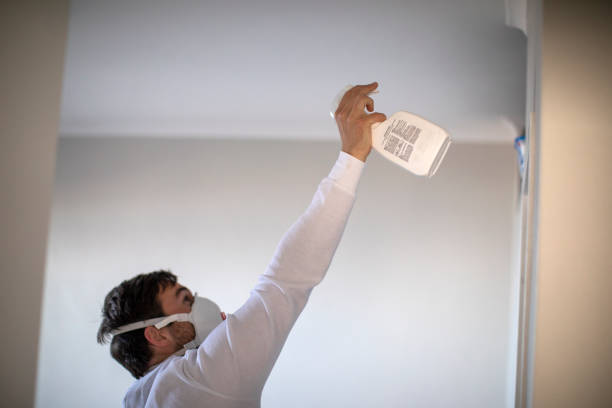 Best Toxic Mold Removal  in Mechanicsburg, OH