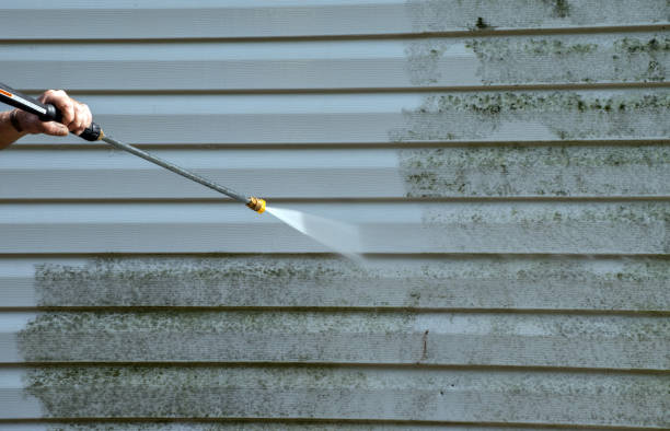 Best Mold Remediation  in Mechanicsburg, OH